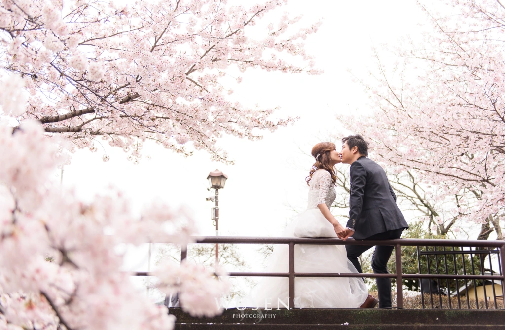 櫻花盛開 愛情蔓延 京都旅遊婚紗寫真 sakura pre-wedding photo in Kyoto