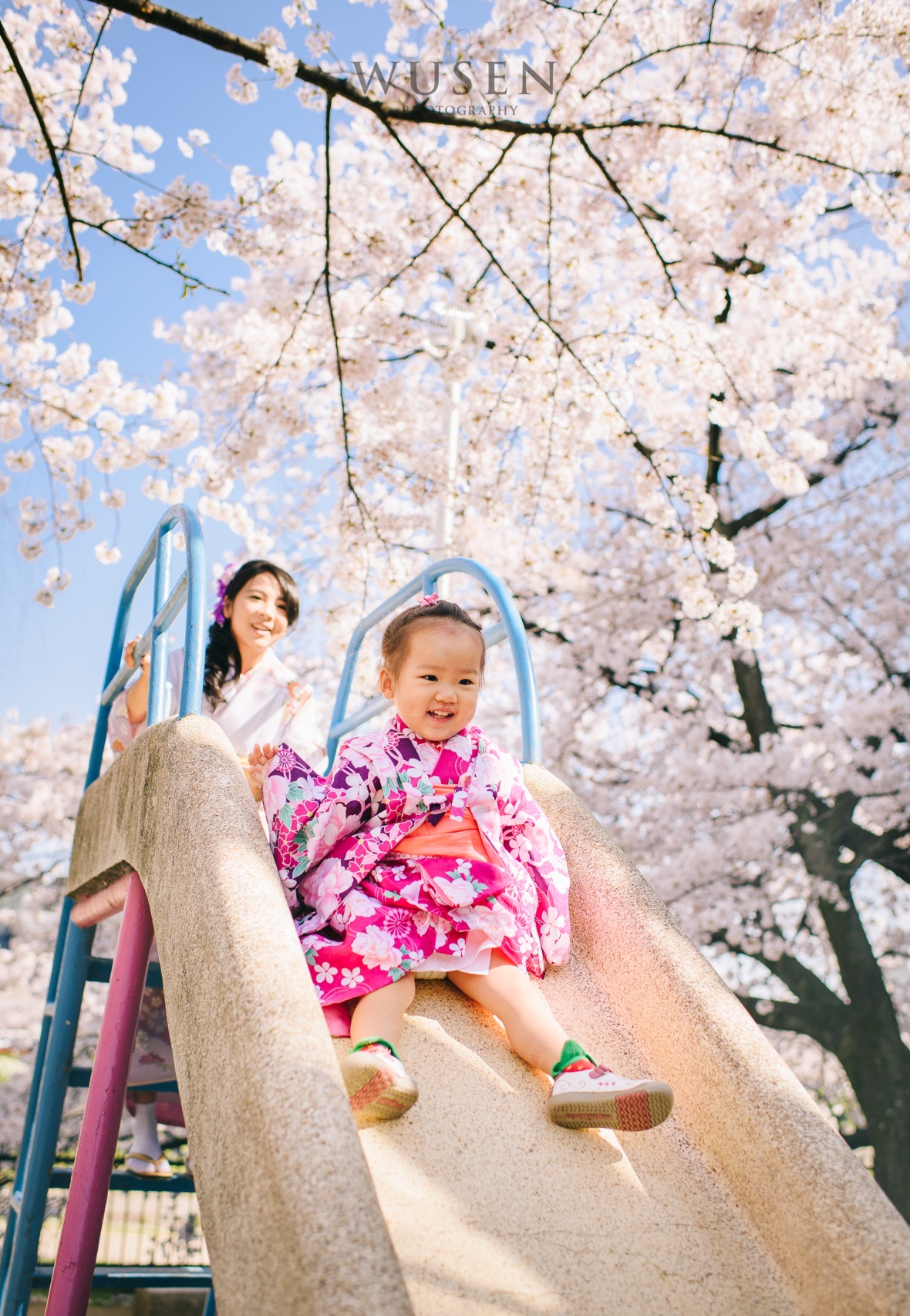 京都樱花祭,亲子和服跟拍