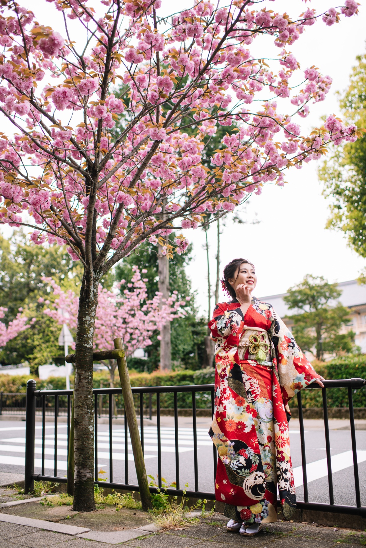 京都樱花, 和服外拍