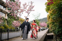京都櫻花, 和服婚紗
