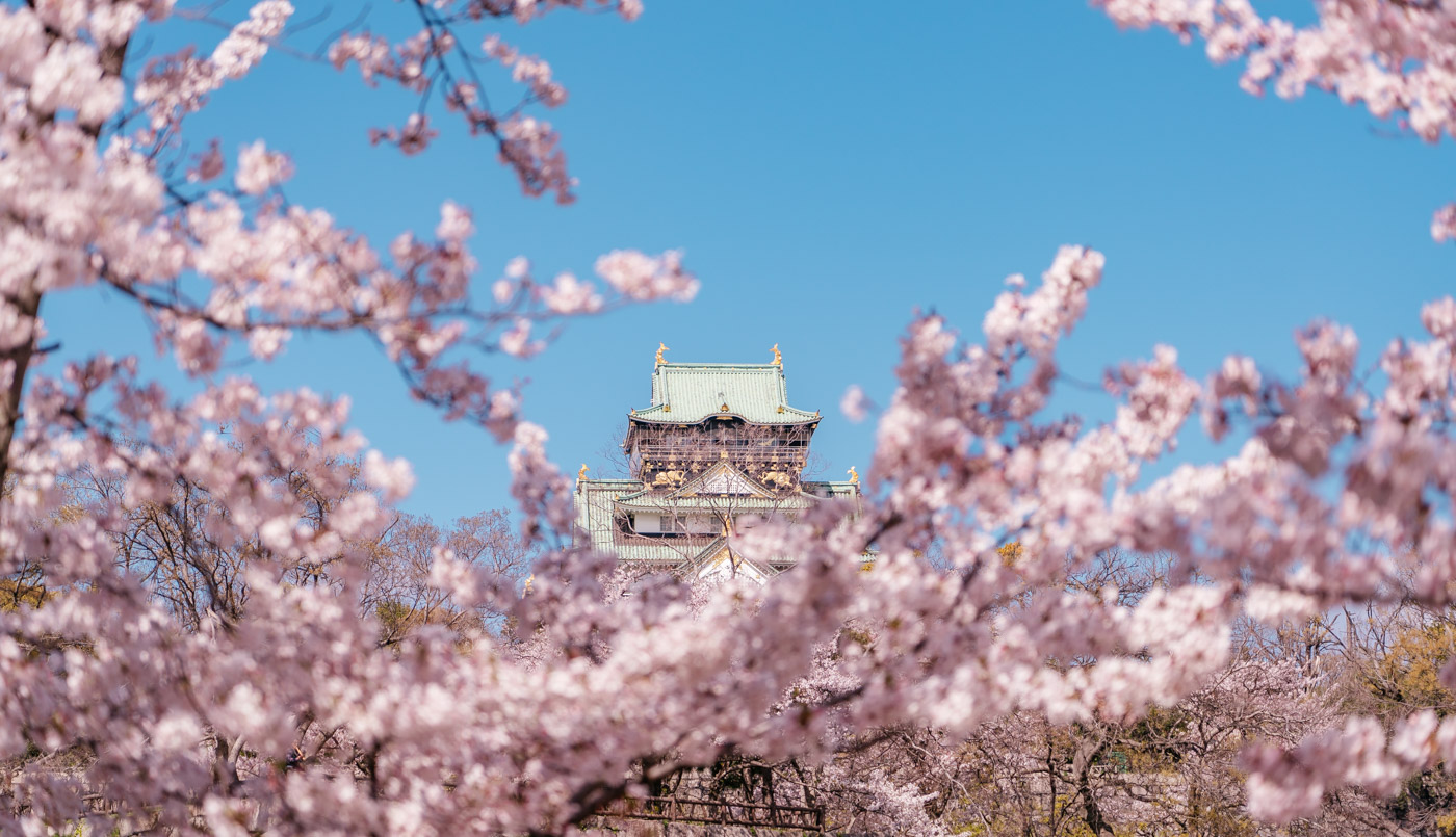 京都和服攝影師simon拍攝的大阪城櫻花照